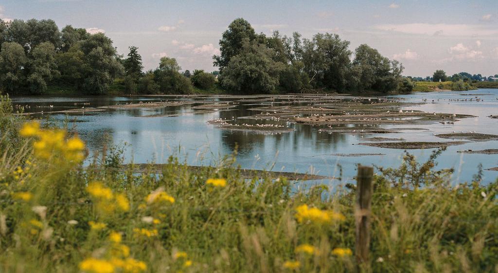 Koornwaardse Plassen 's Hertogenbosch